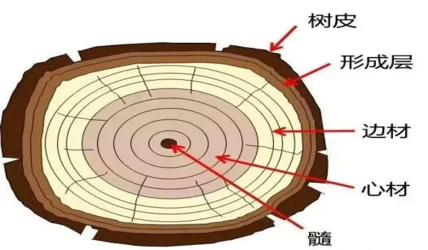 全屋定制家具系列中：实木家具该如何选择?